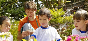 Clique para ler matéria alimentacao-pomar