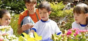 Clique para ler matéria pomar-domestico