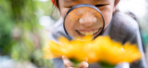 Clique para ler matéria dia-mundial-do-meio-ambiente-cursos
